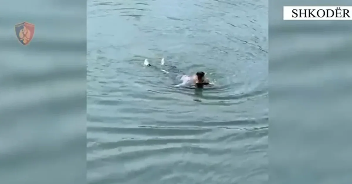 Momente që tronditën Bunën: Si u shpëtua një grua 59-vjeçe?