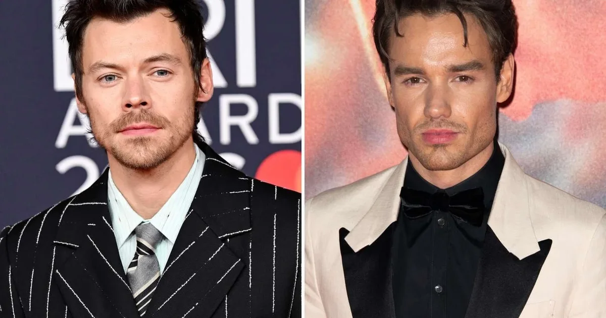 Sekreti që e tronditi Harry Styles pas humbjes së mikut